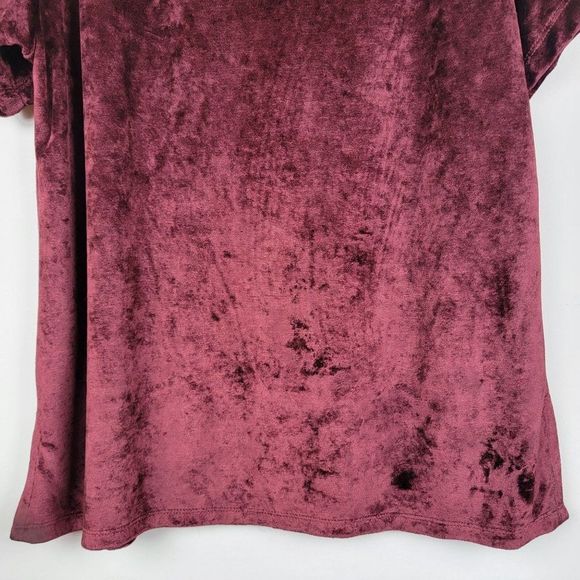 Michael Stars Wine Stretchy Velvet V-Neck Short Sleeves Pullover Top Size L - Picture 6 of 9
